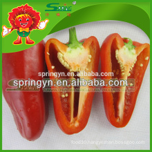 Sweet red/yellow pepper best fresh green capsicum